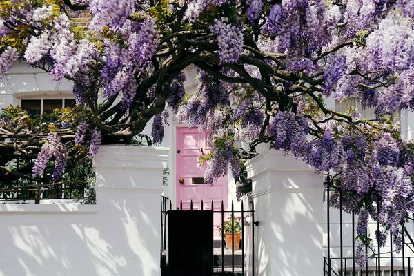 Foto: iStock