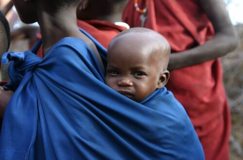 Baby massai