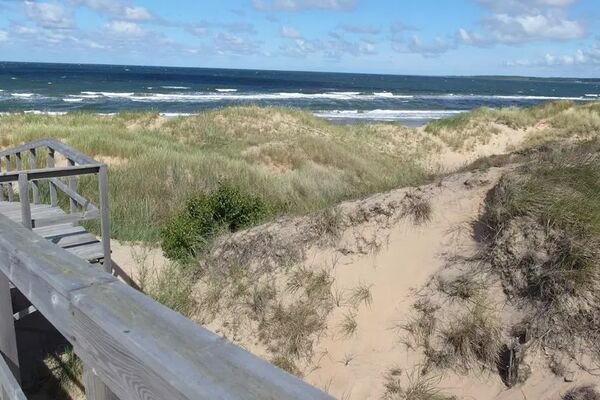 Foto: Terese Nilsson