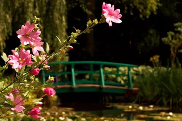 Bild: Dreamstime