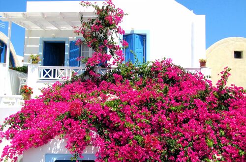 Vackert hem i Oia på Santorini