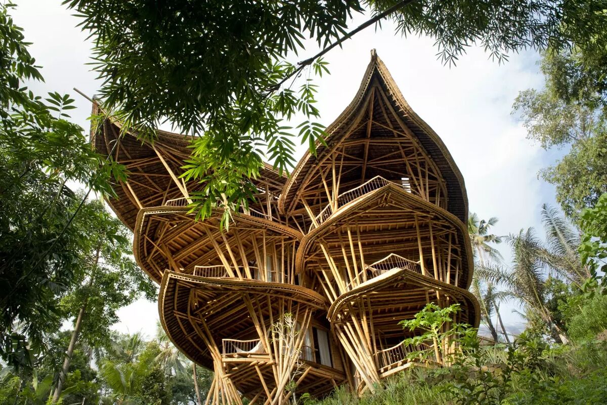 Tree top hotels around the world! Reiseguiden