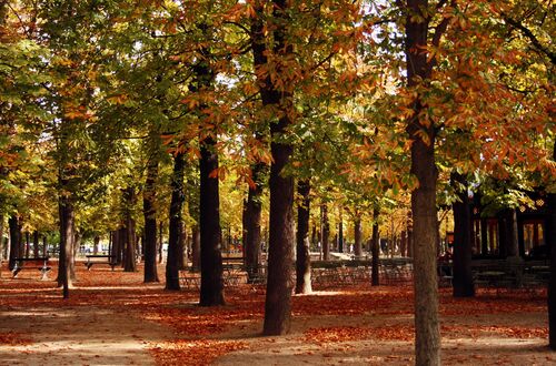 Jardin de Luxenbourg