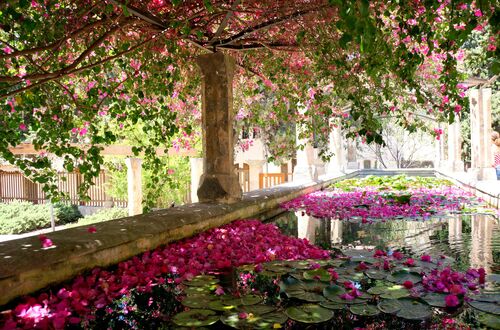 Jardí del Bisbe