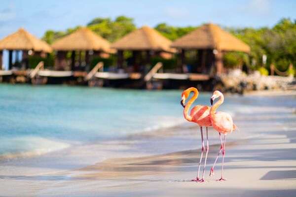 Bild: Shutterstock