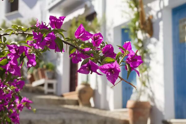 Foto: iStock