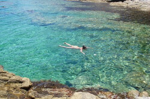 Snorkling