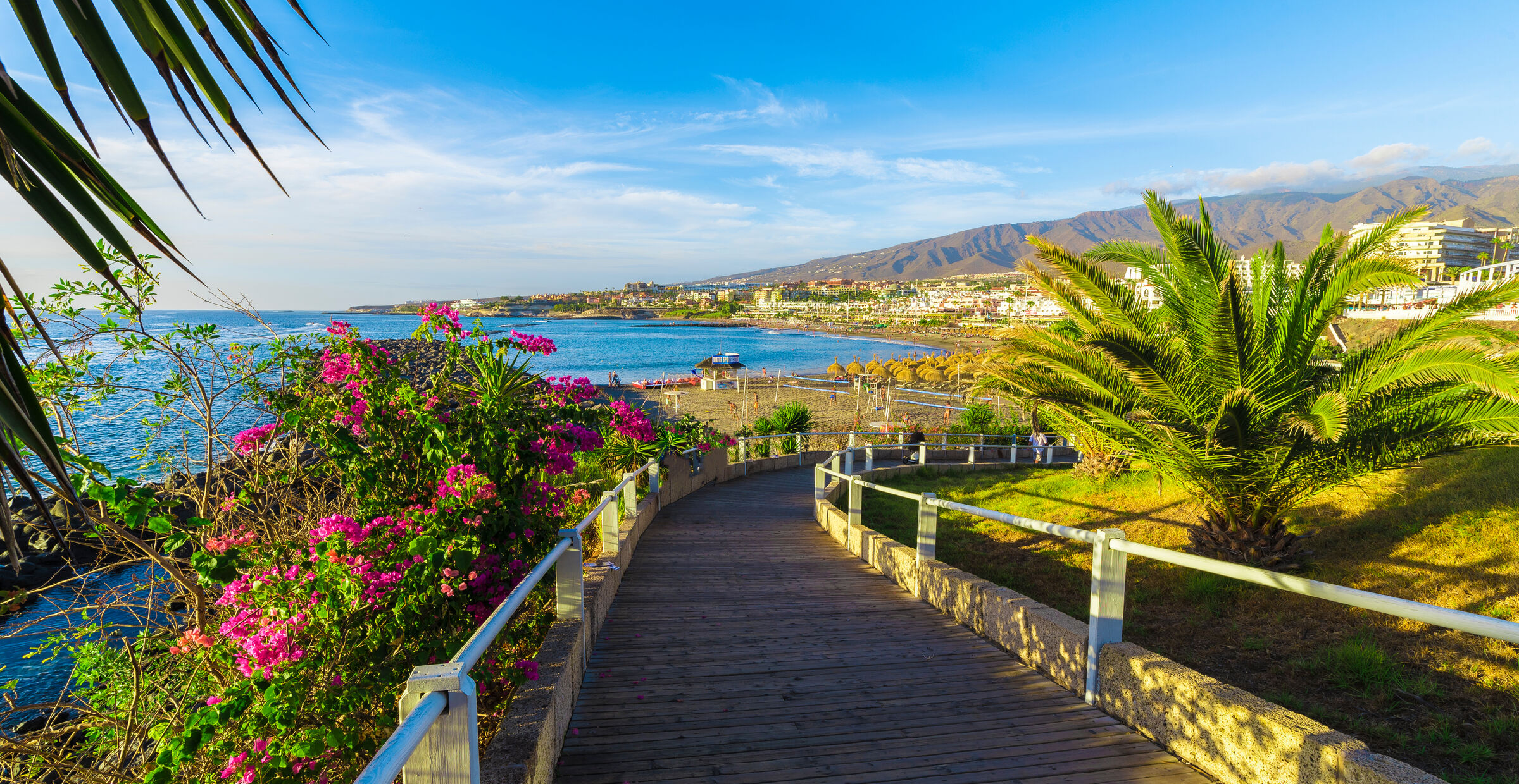 Charterreiser til Playa de Fanabe, Playa de las Americas - Reiseguiden