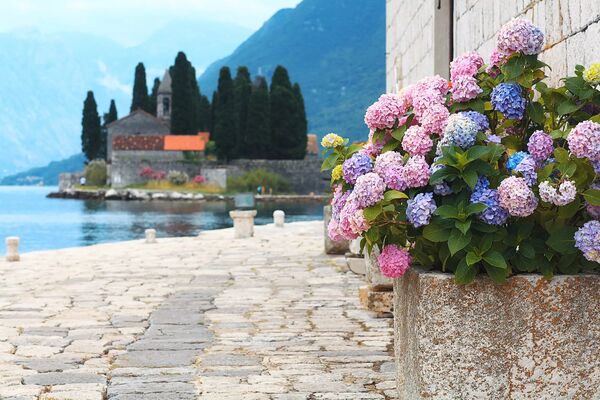 Foto: iStock