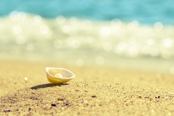 Foto: Shutterstock