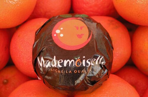 Mademoiselle.