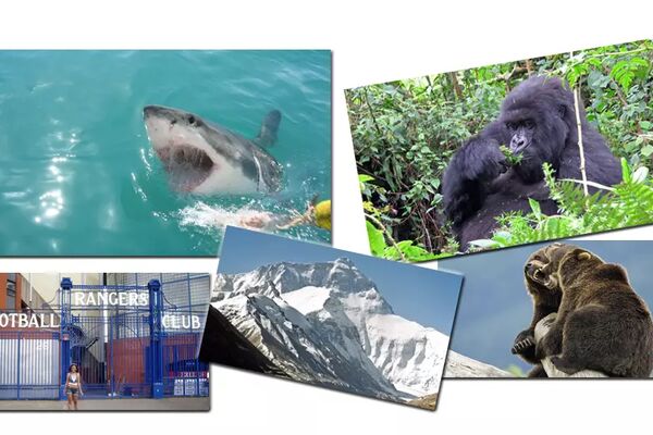 Collage: Medlemsbilder+Thinkstock