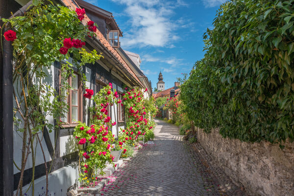 Foto: Shutterstock