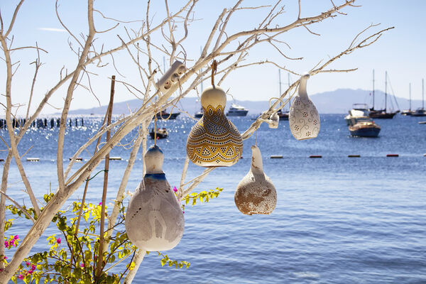 Foto:Shutterstock