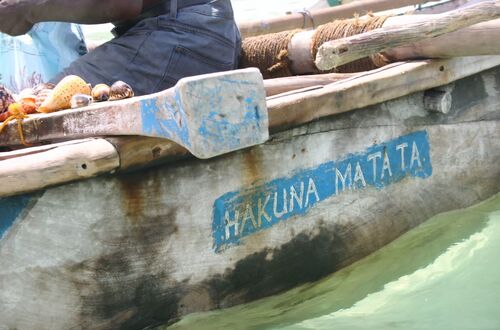 Båt Zanzibar