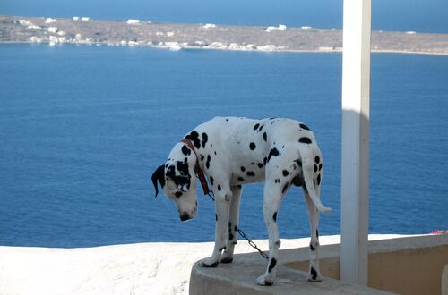Oia