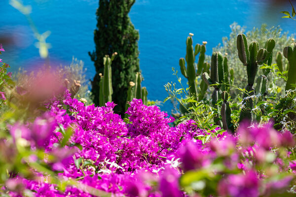 Foto: Shutterstock