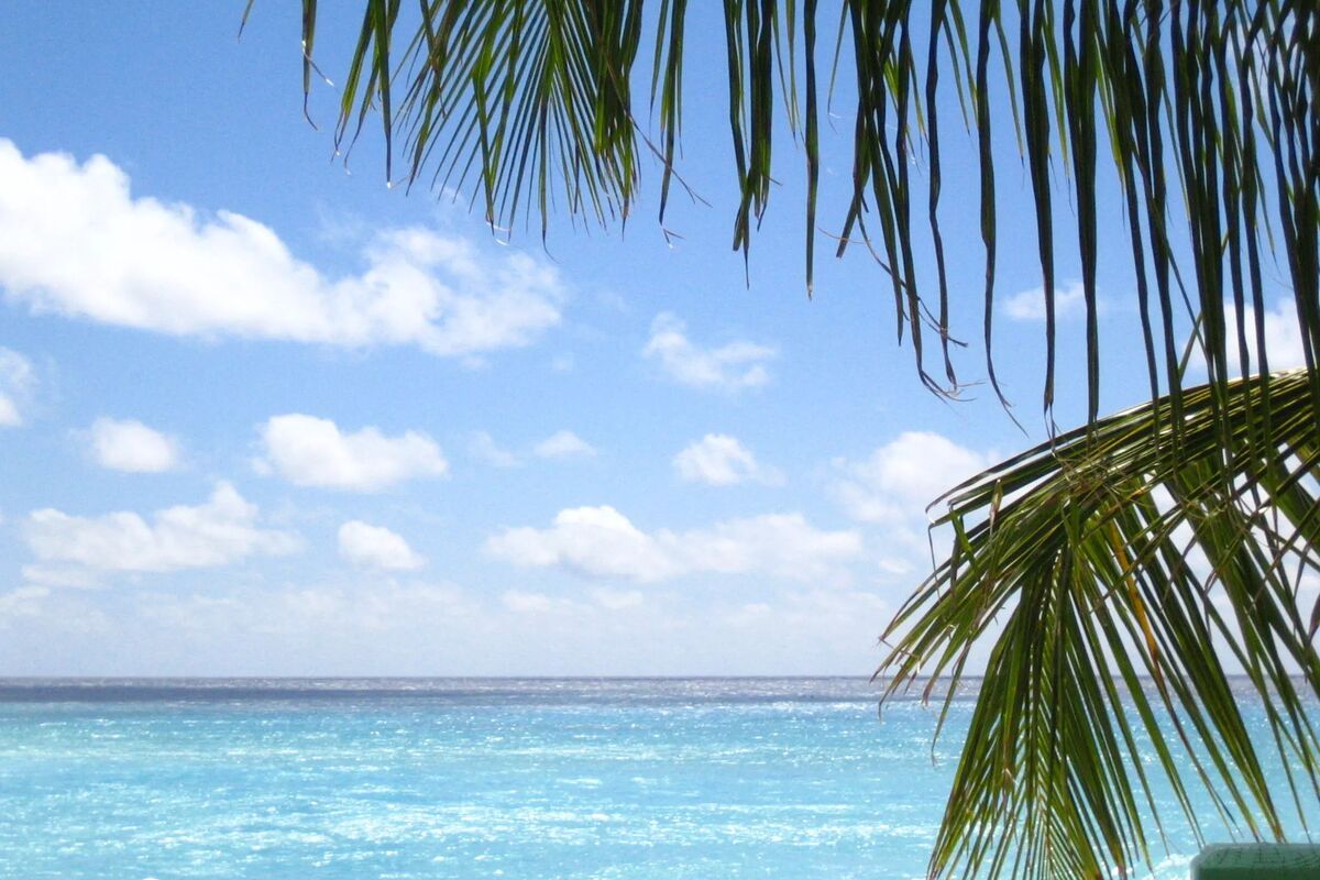 Caribiska havet vid hotellet Blue Orchids