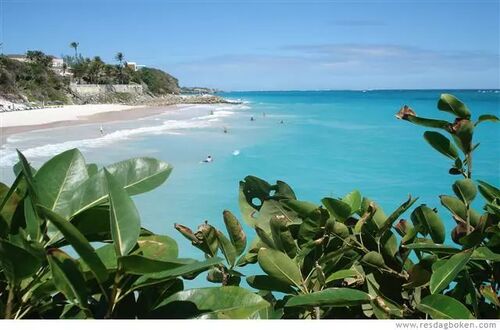 Crane Beach