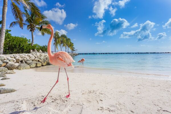 Foto: Shutterstock